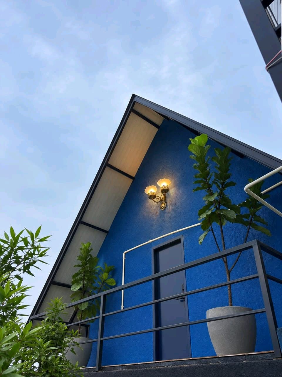 Dozzy 2659 (1 BHK) — photo 2