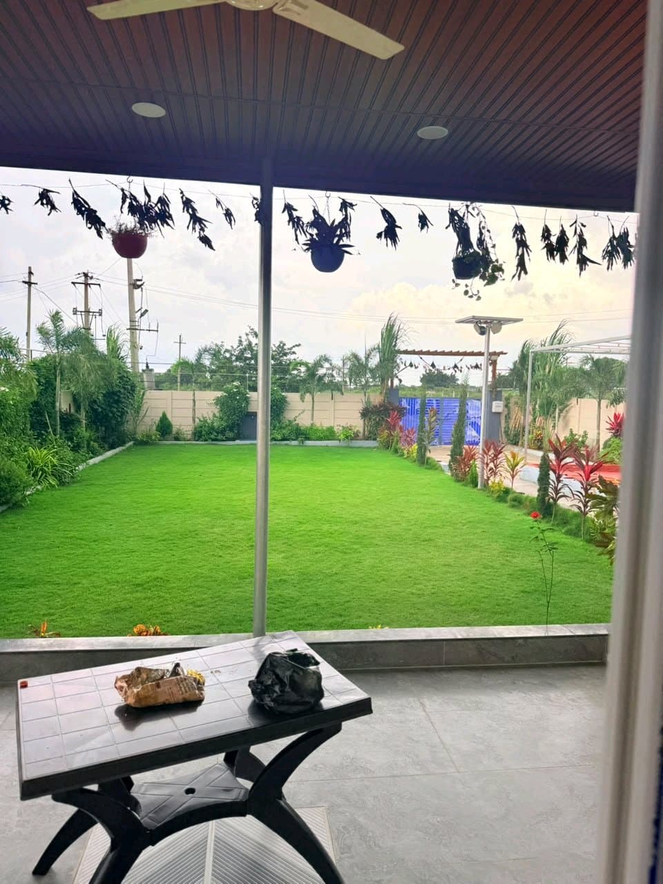 Dozzy 2655 (1 BHK) — photo 3