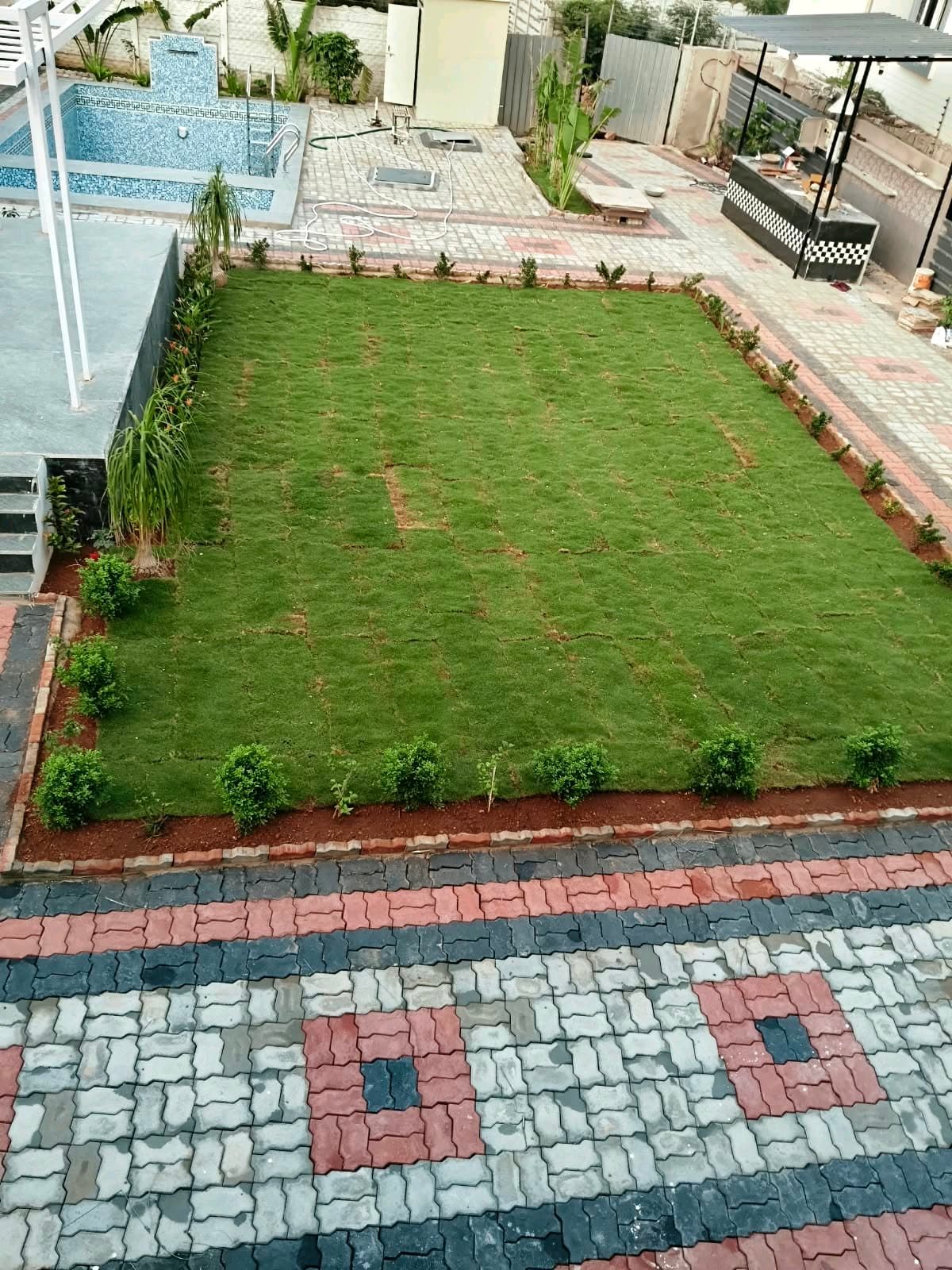 Dozzy 2666 (6 BHK) — photo 5