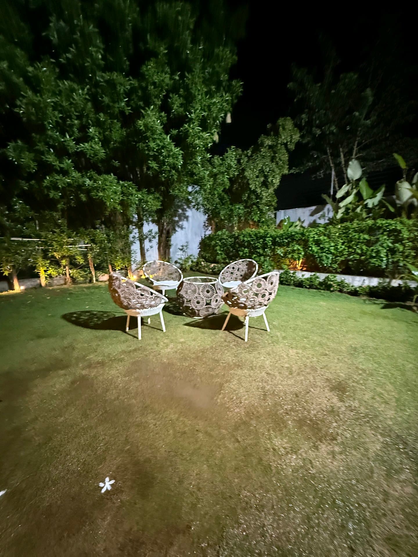 Dozzy 1957 (3 BHK) — photo 5
