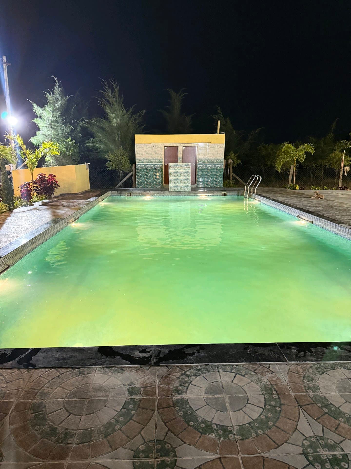 Dozzy 1938 (3 BHK) — photo 3