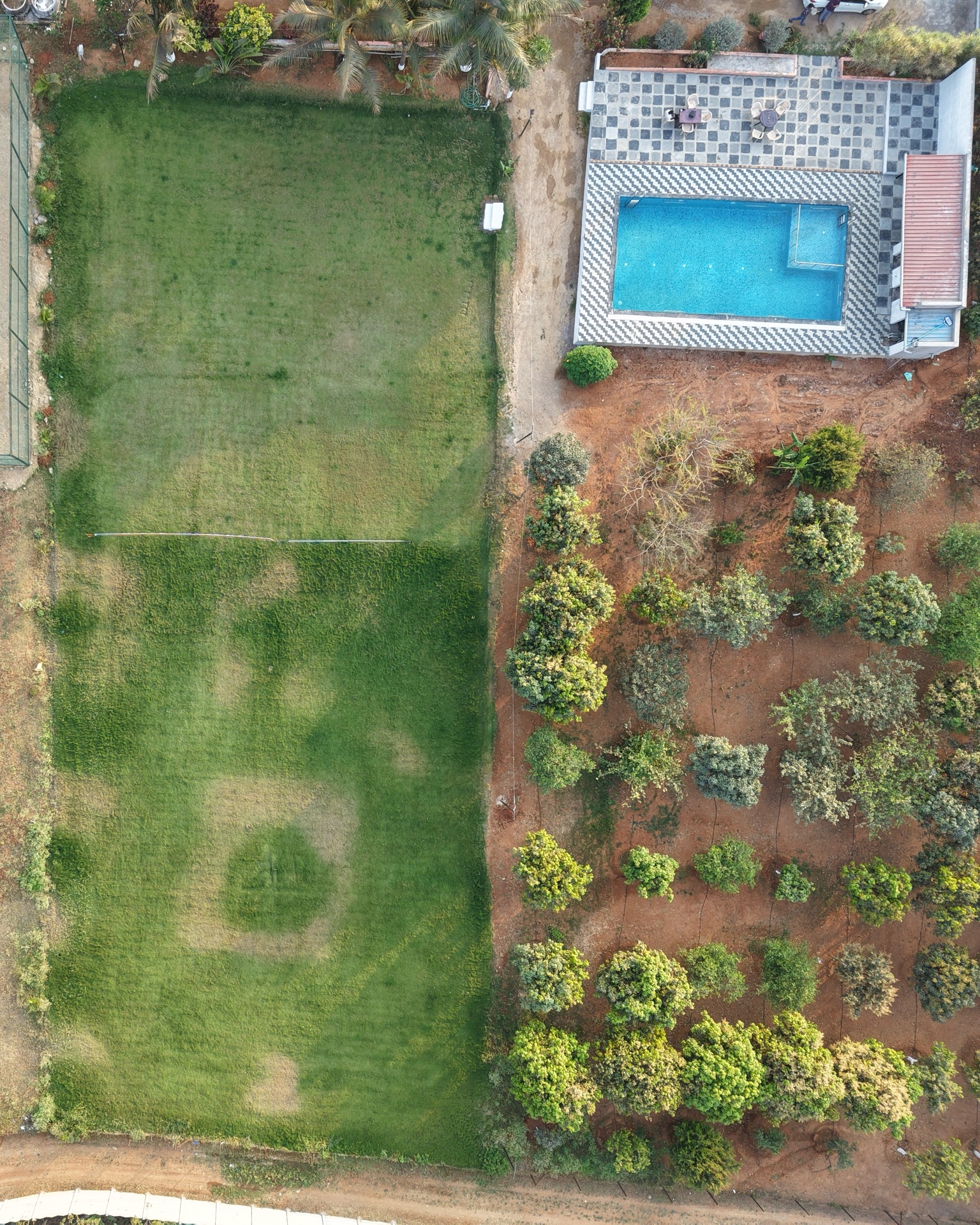 Dozzy 1916 (3 BHK) — photo 5