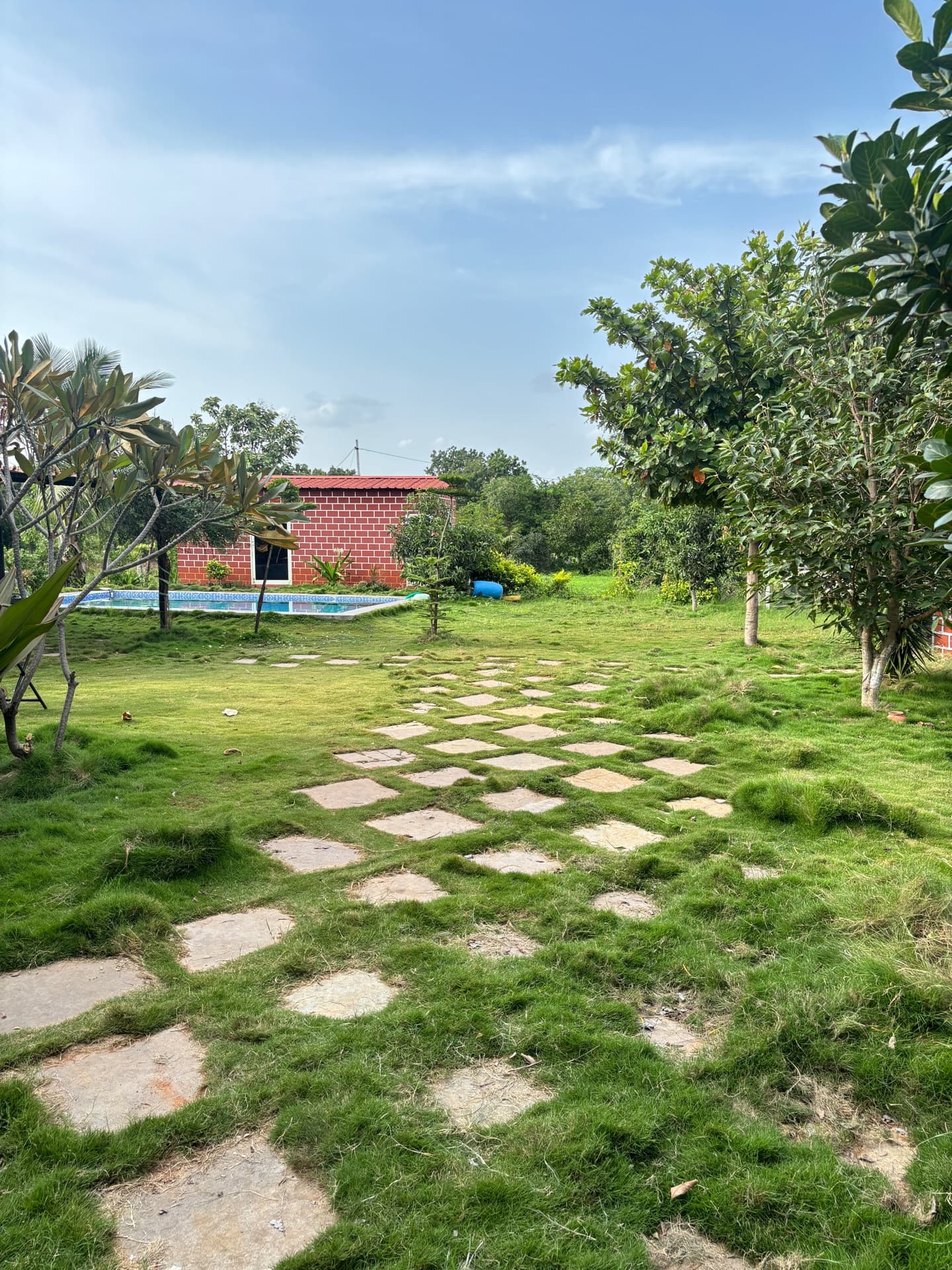 Dozzy 1854 (3 BHK) — photo 5