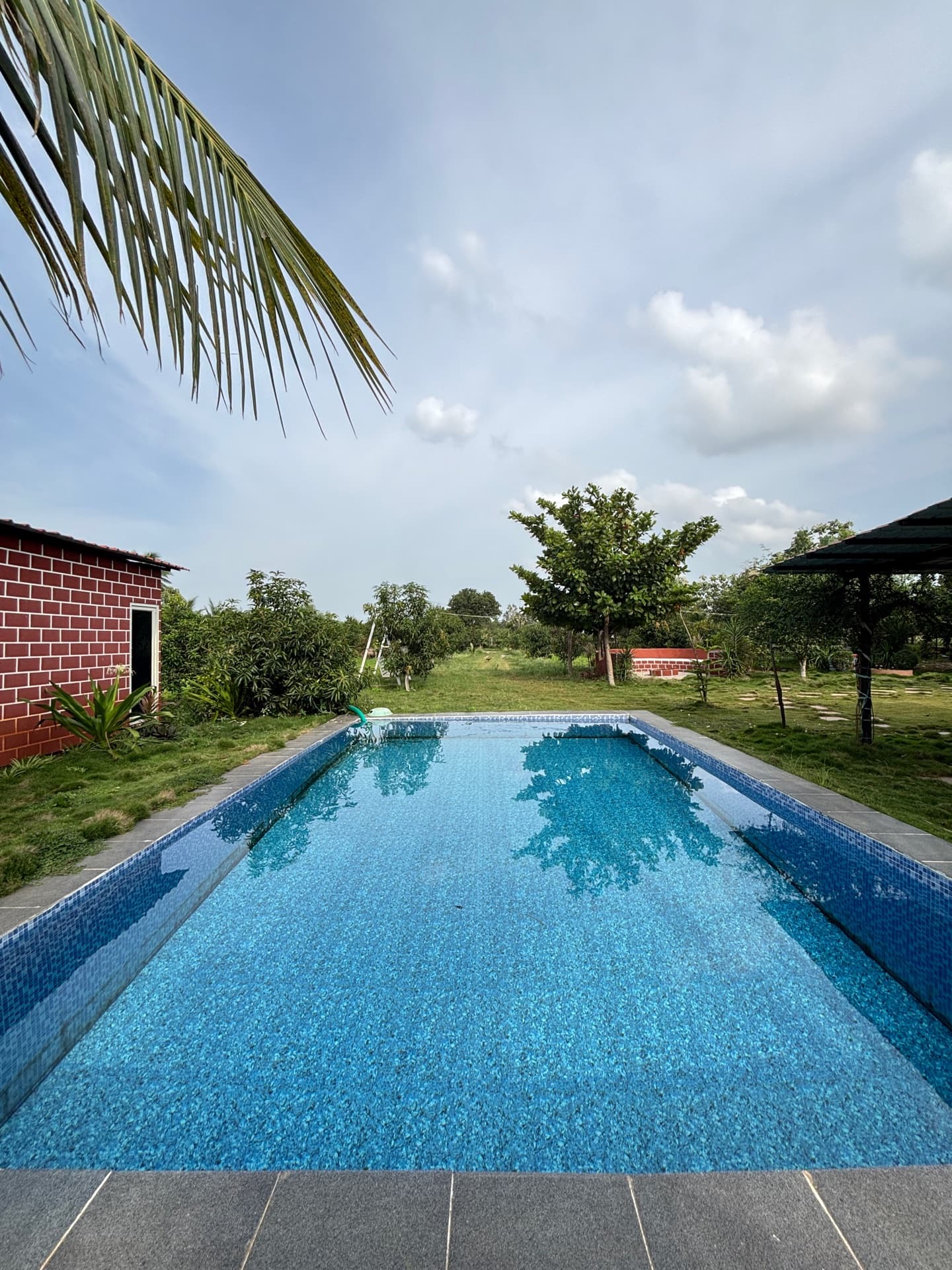 Dozzy 1854 (3 BHK) — photo 4