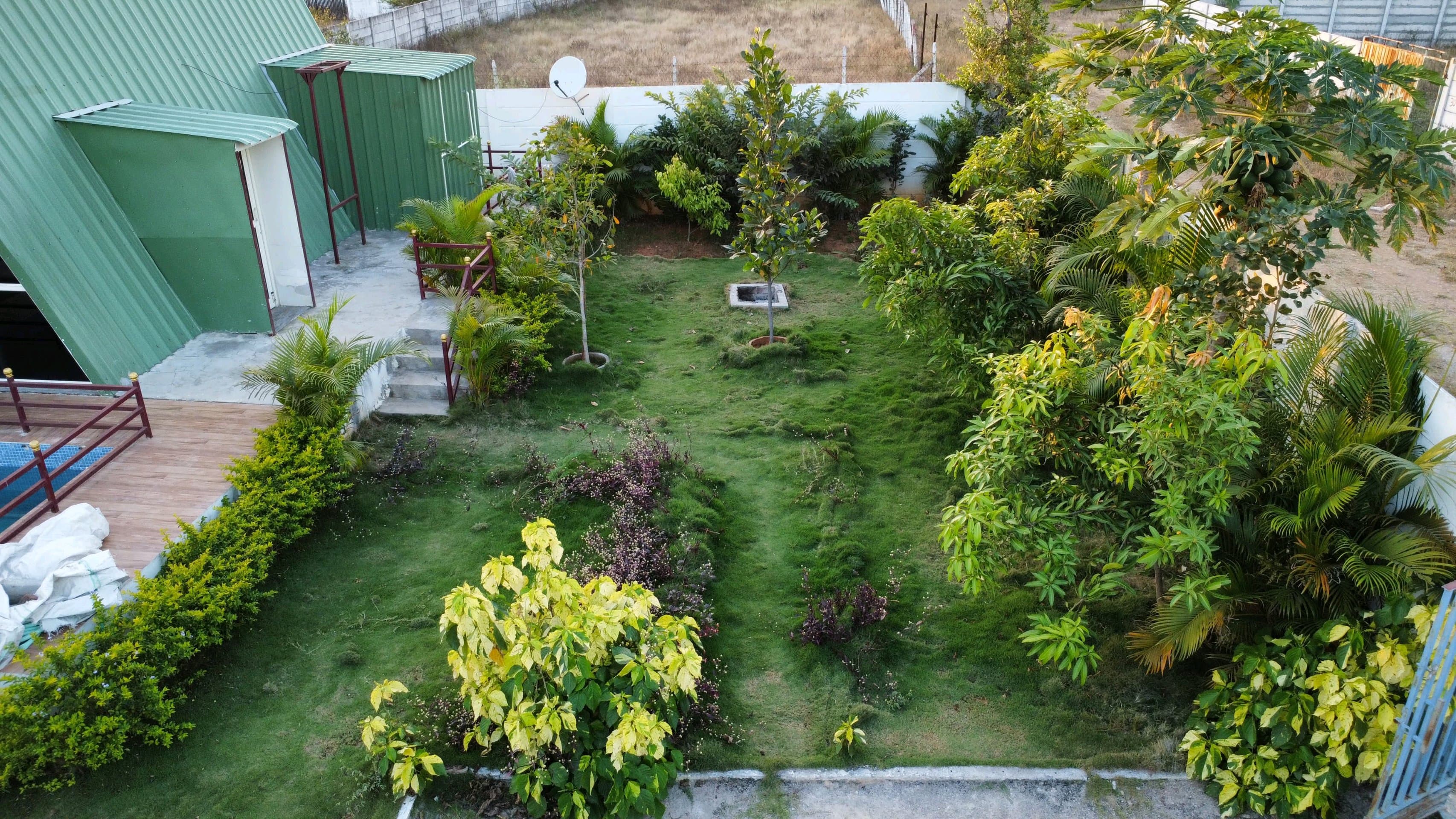 Dozzy 1699 (1 BHK) — photo 5