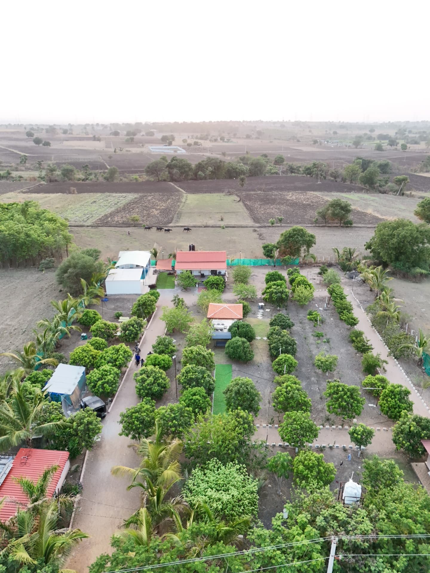 Dozzy 1715 (3 BHK) — photo 2