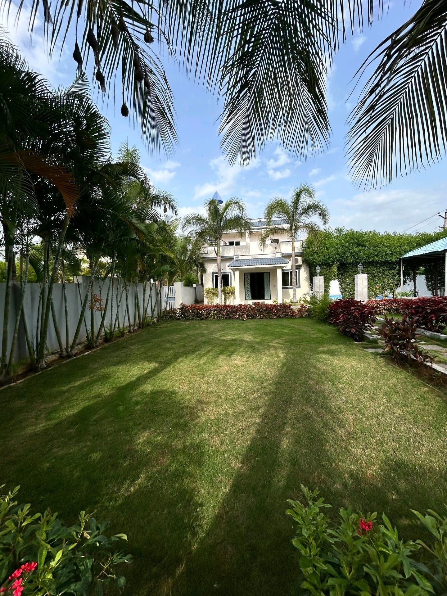 Dozzy 1824 (2 BHK) — photo 5