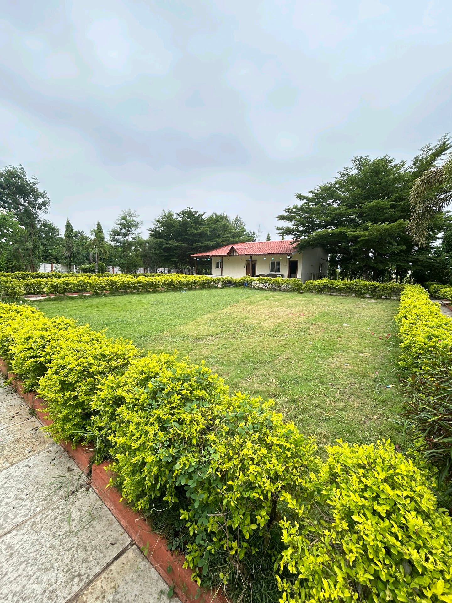Dozzy 1853 (2 BHK) — photo 3