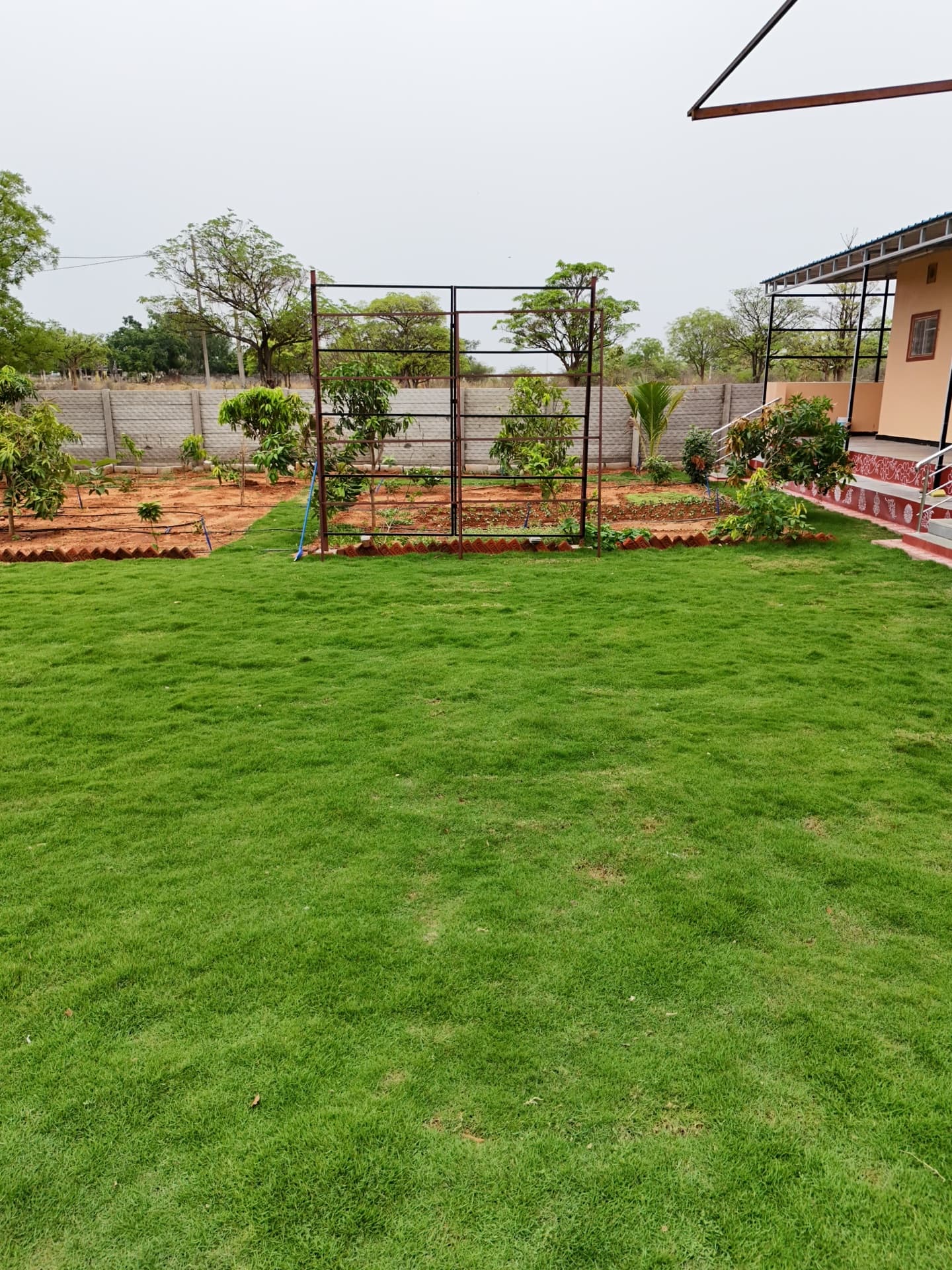 Dozzy 1725 (2 BHK) — photo 5