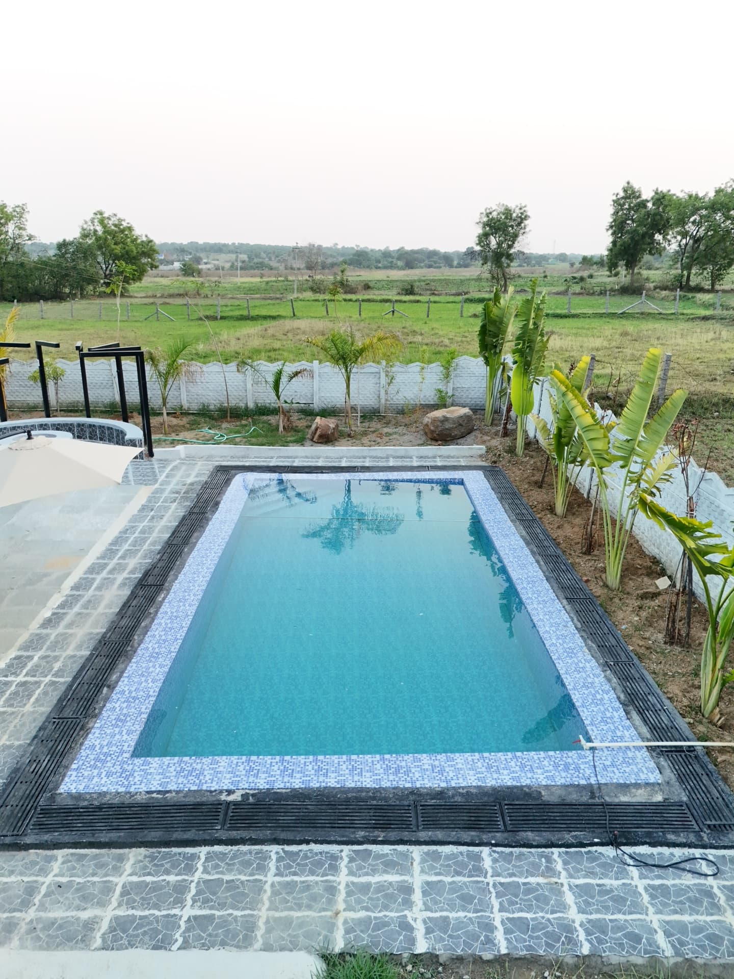 Dozzy 1704 (7 BHK) — photo 3