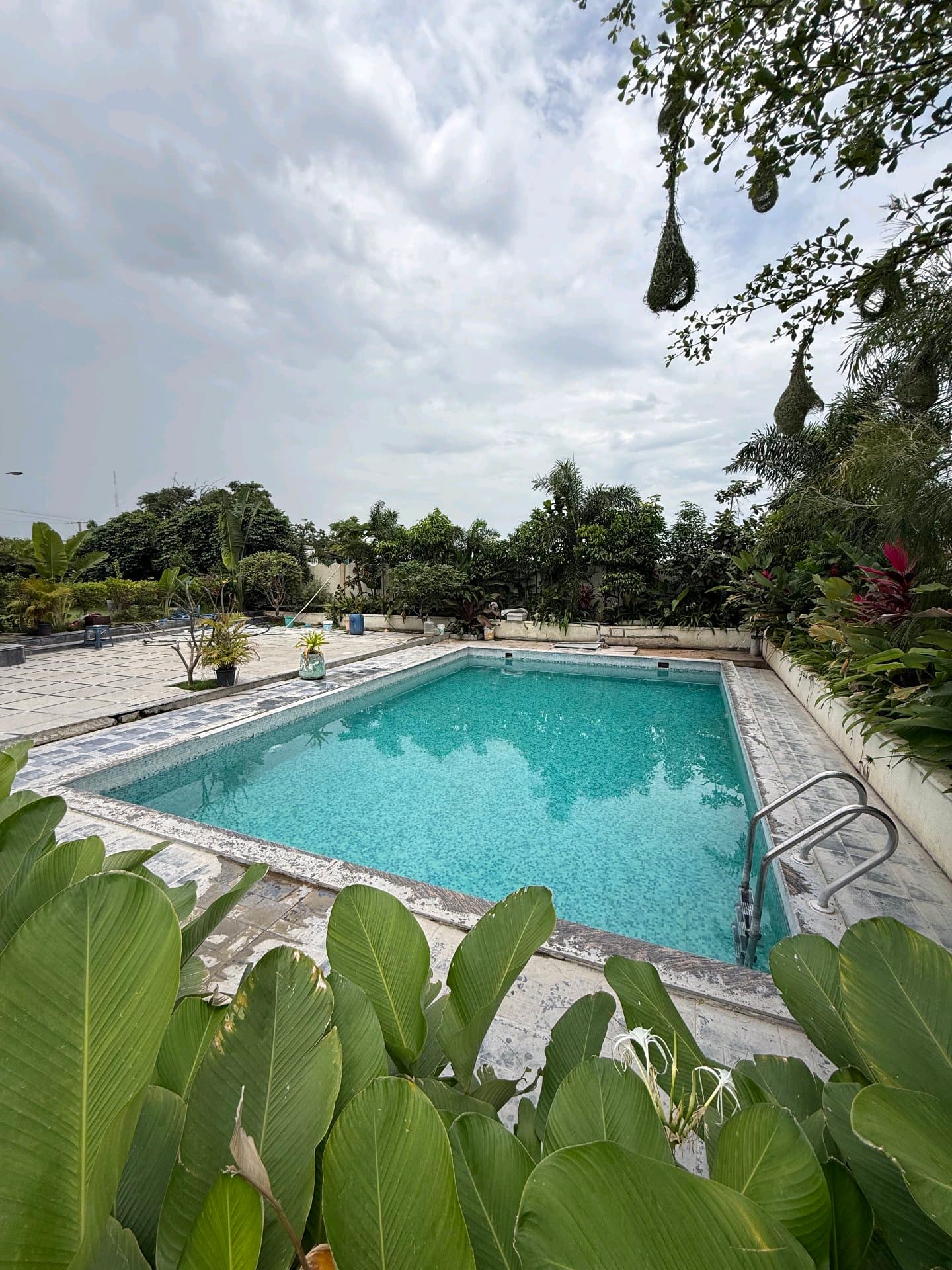 Dozzy 1923 (2 BHK) — photo 4