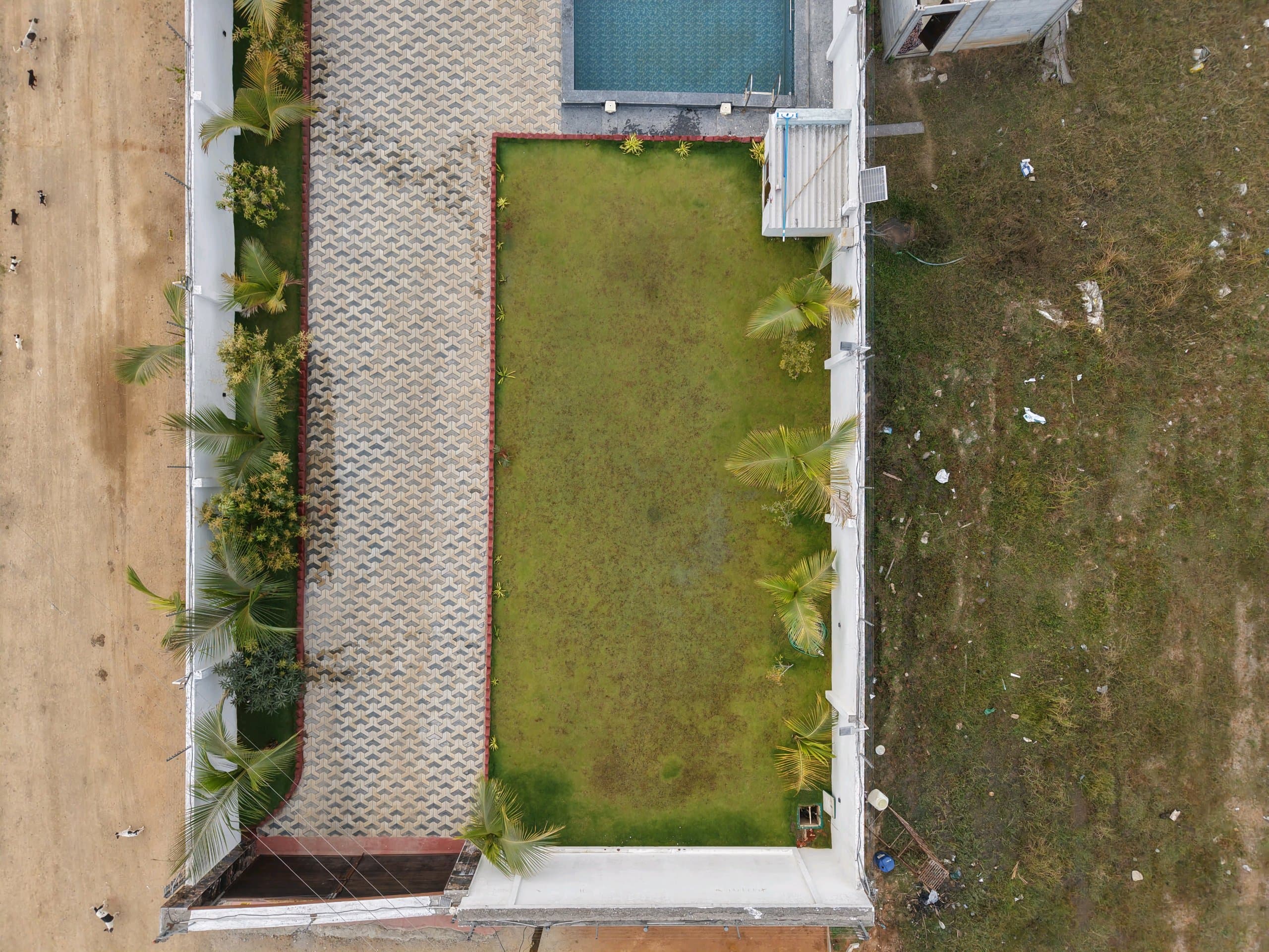 Dozzy 2116 (2 BHK) — photo 5