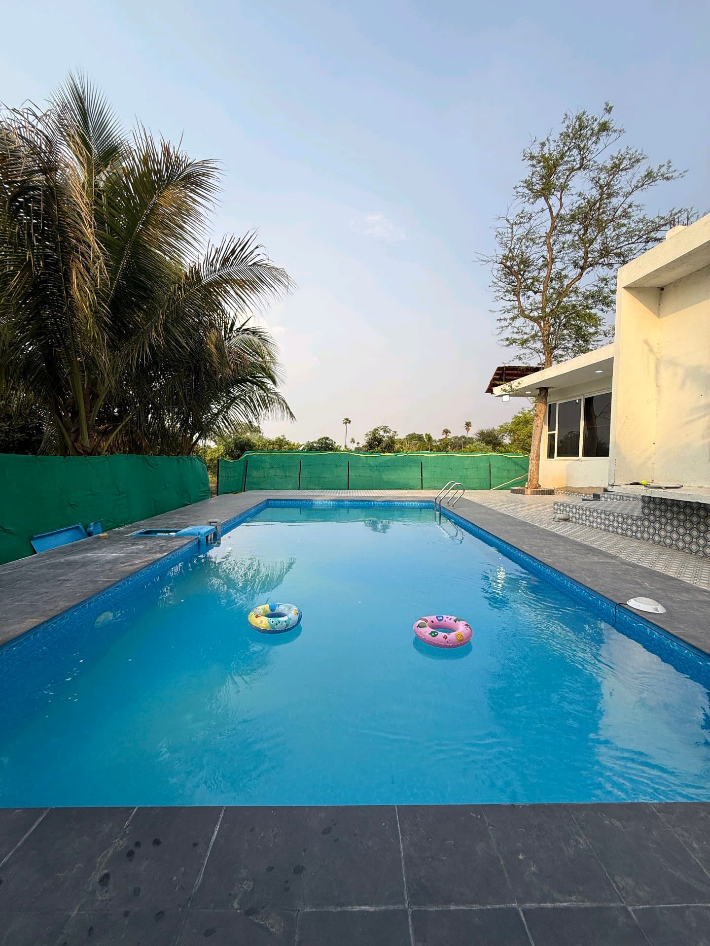 Dozzy 2156 (2 BHK) — photo 4