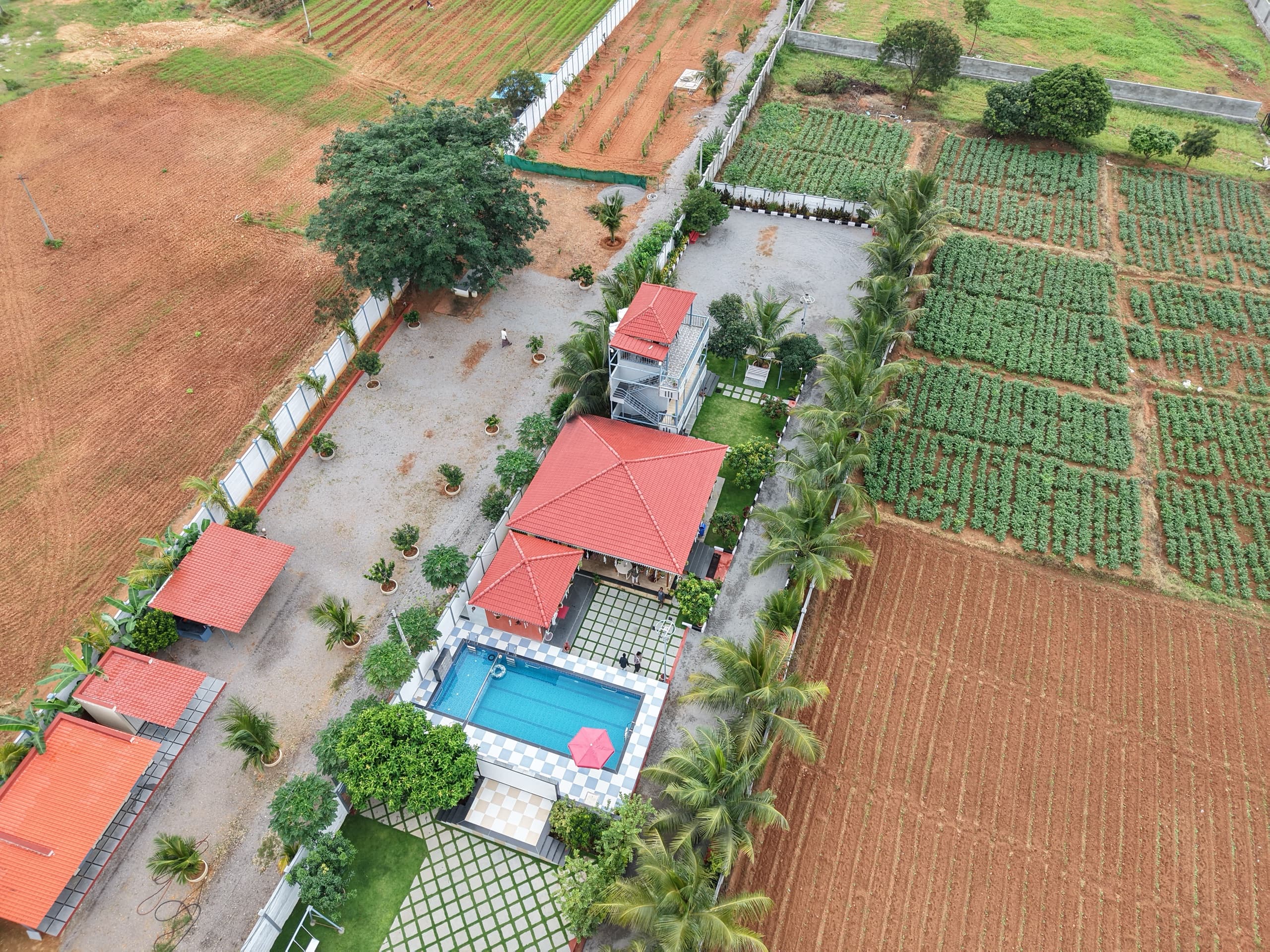 Dozzy 1958 (4 BHK) — photo 2