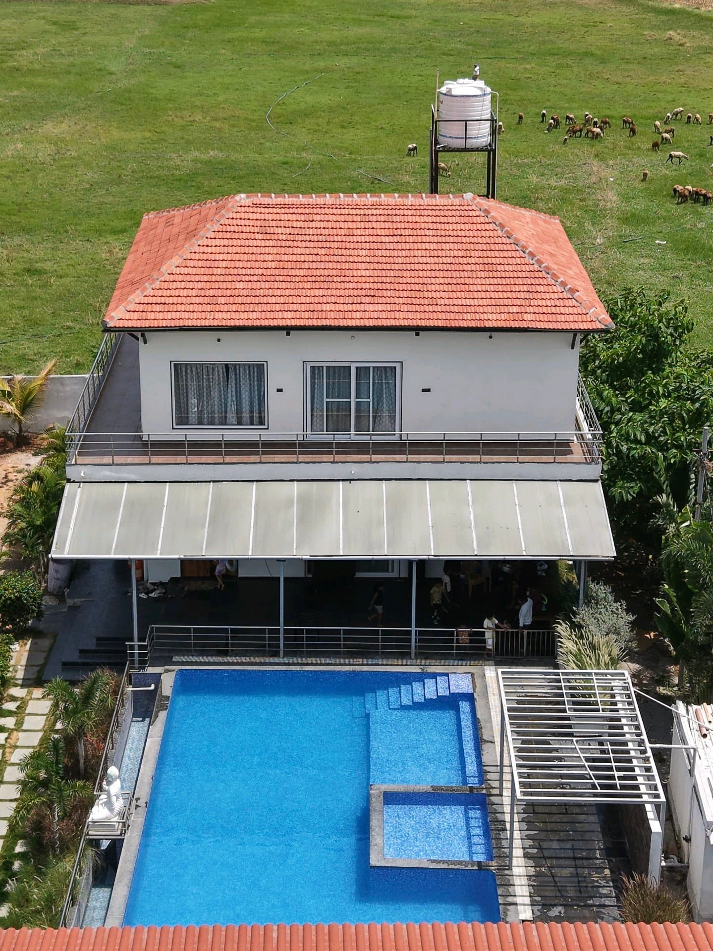 Dozzy 2173 (3 BHK) — photo 2