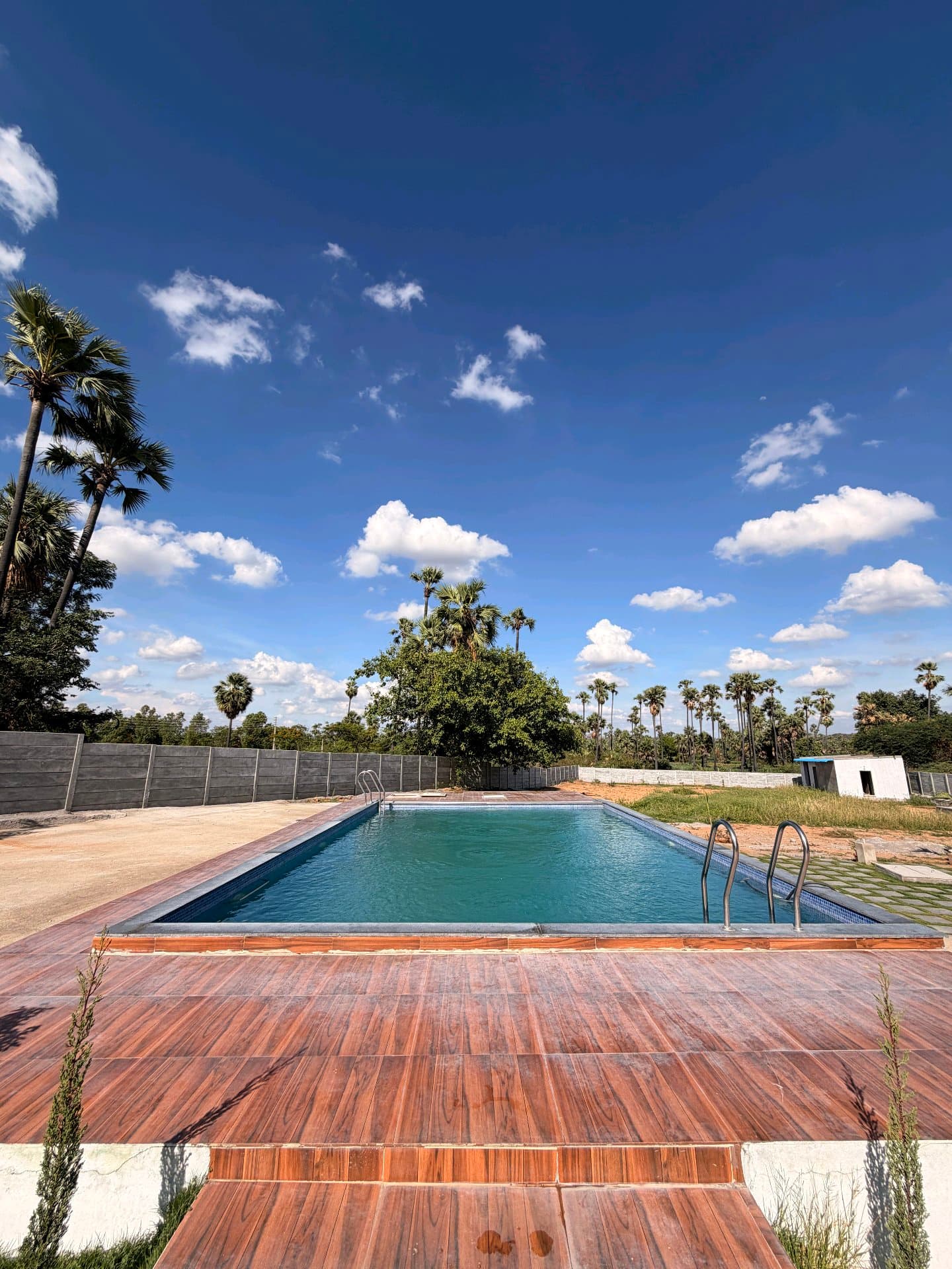 Dozzy 2179 (3 BHK) — photo 4