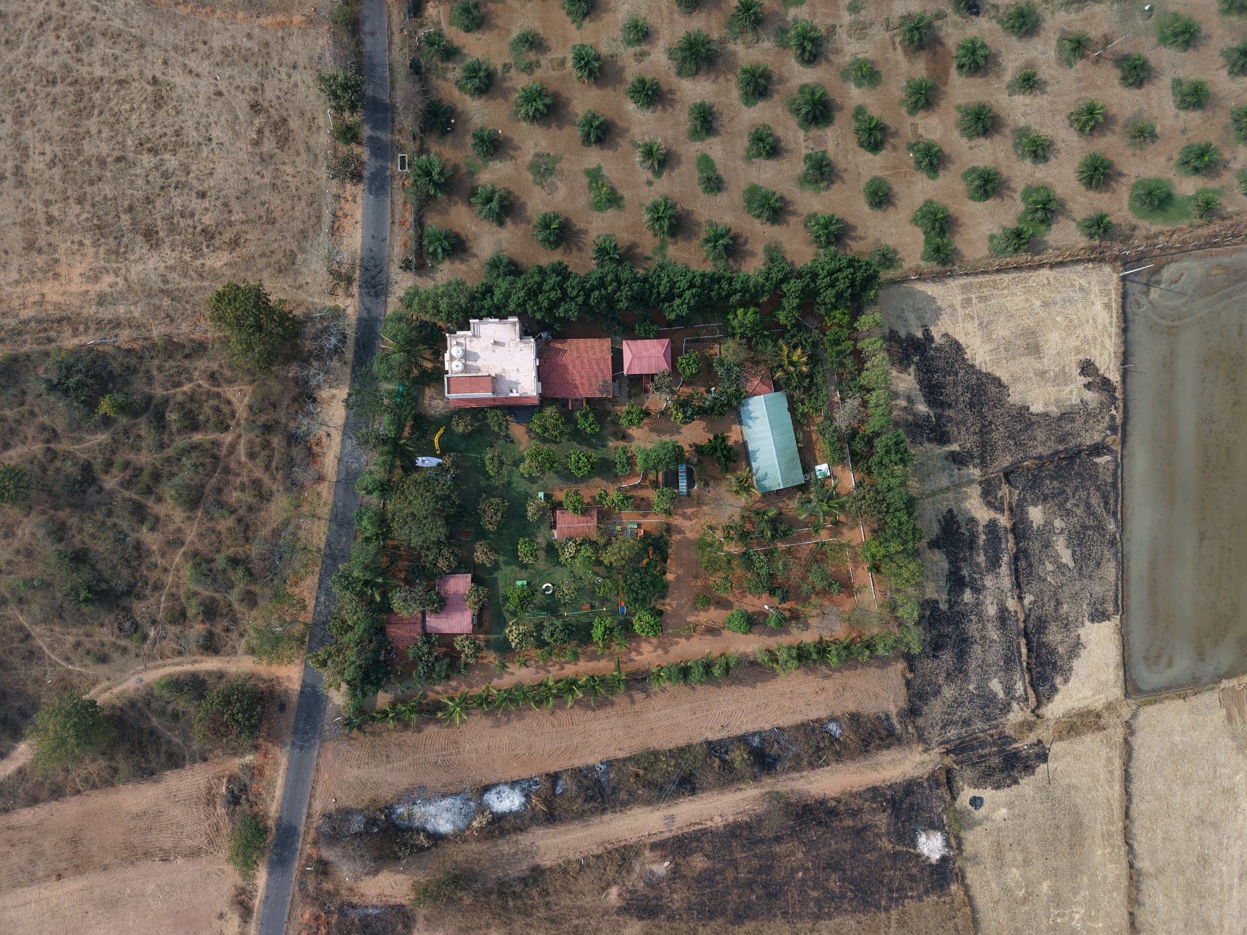 Dozzy 2085 (3 BHK) — photo 2