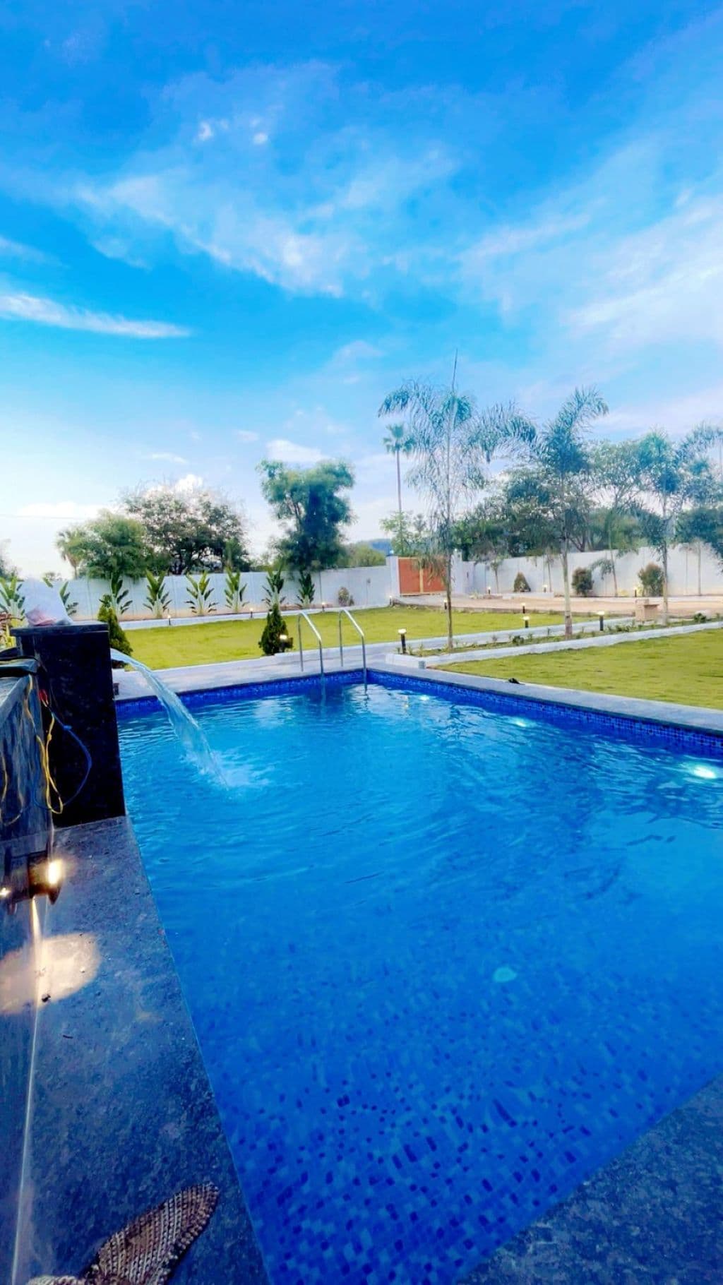 Palm Horizon Farm — photo 3