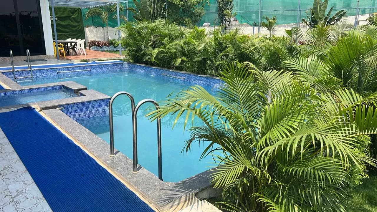 Brownie farm stay — photo 2