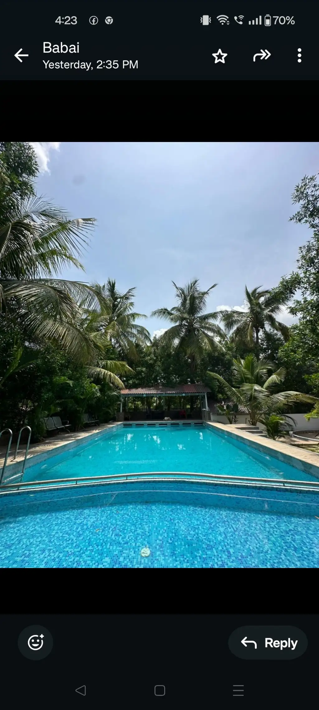 Dunduubhi farms — photo 4