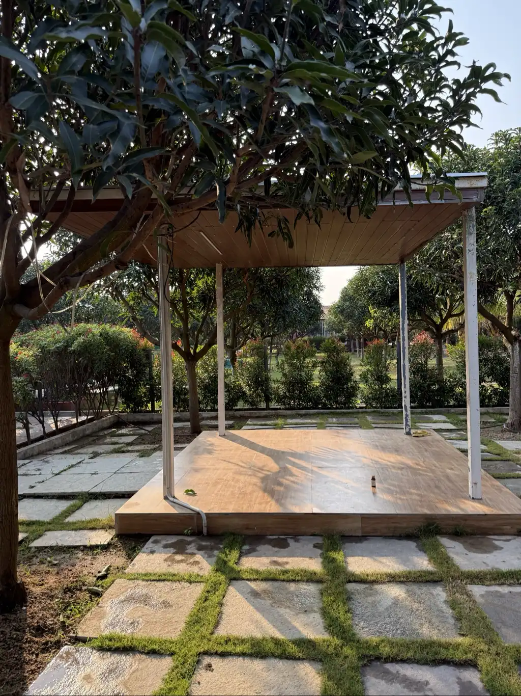 Tranquil Picola — photo 3